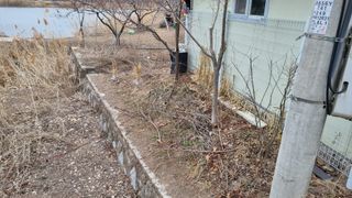 의성촌놈님의 기타작물 · 영농일지 작성글 사진