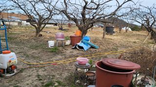 괴동조합장님의 기타작물 · 영농일지 작성글 사진