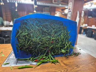 늘햇살팜 님의 기타작물 · 영농일지 작성글 사진