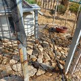 팜모닝 기타작물·영농일지 게시글 이미지