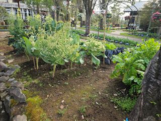 이미옥님의 기타작물 · 영농일지 작성글 사진
