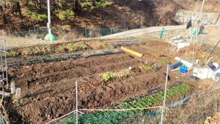 김영규님의 기타작물 · 영농일지 작성글 사진