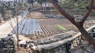 한성대 (61년생)님의 기타작물 · 영농일지 작성글 사진