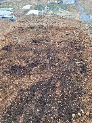 양길호님의 기타작물 · 영농일지 작성글 사진