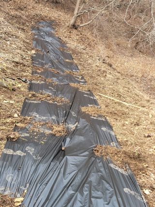 이의도님의 기타작물 · 영농일지 작성글 사진