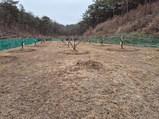 최재송님의 기타작물 · 영농일지 작성글 사진