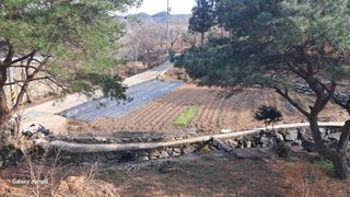 한성대 (61년생)님의 기타작물 · 영농일지 작성글 사진