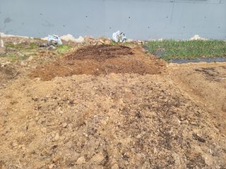 양길호님의 기타작물 · 영농일지 작성글 사진