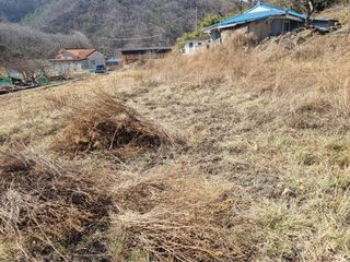 새싹님의 기타작물 · 영농일지 작성글 사진