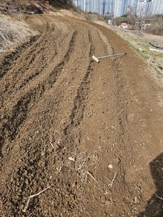 장흥식님의 기타작물 · 영농일지 작성글 사진