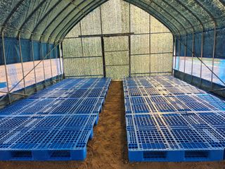 구봉갑산님의 기타작물 · 영농일지 작성글 사진