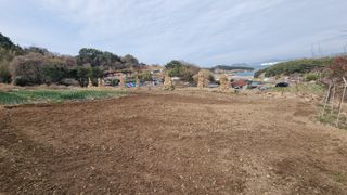 촌사리님의 기타작물 · 영농일지 작성글 사진