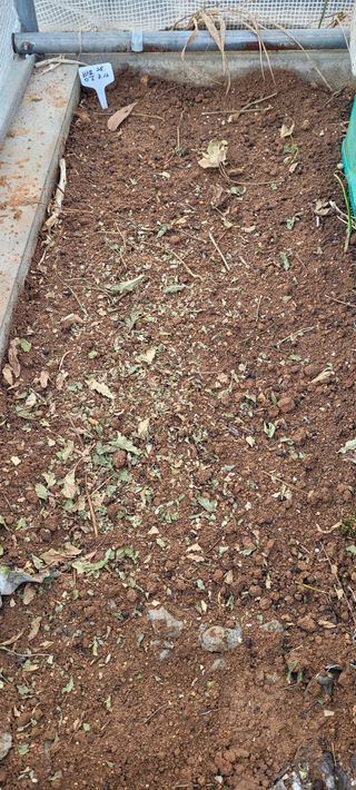 김정은님의 기타작물 · 영농일지 작성글 사진