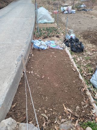 양길호님의 기타작물 · 영농일지 작성글 사진