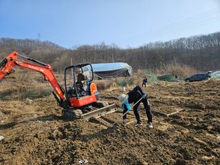 최용태님의 기타작물 · 영농일지 작성글 사진