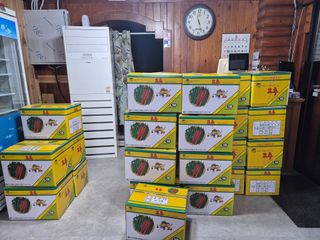 늘햇살팜 님의 기타작물 · 영농일지 작성글 사진