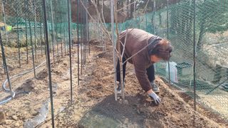 권혁렬님의 기타작물 · 영농일지 작성글 사진