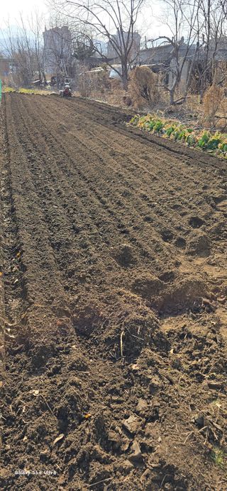 ♡청심전유삼♡님의 기타작물 · 영농일지 작성글 사진