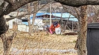 괴동조합장님의 기타작물 · 영농일지 작성글 사진