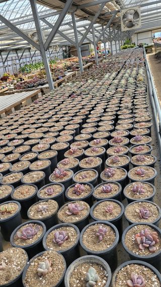 우성철님의 기타작물 · 영농일지 작성글 사진