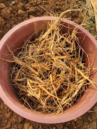 정택님의 기타작물 · 영농일지 작성글 사진