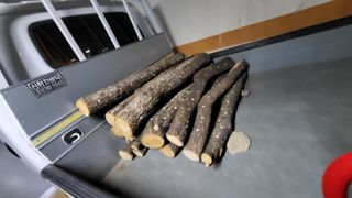 괴동조합장님의 기타작물 · 영농일지 작성글 사진