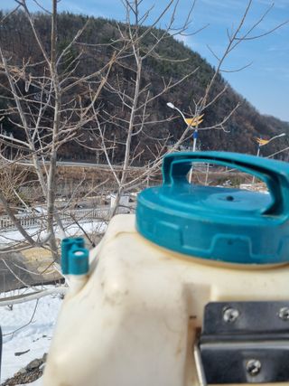 김용대님의 기타작물 · 영농일지 작성글 사진