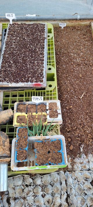 김정은님의 기타작물 · 영농일지 작성글 사진