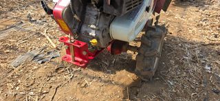 ♡청심전유삼♡님의 기타작물 · 영농일지 작성글 사진