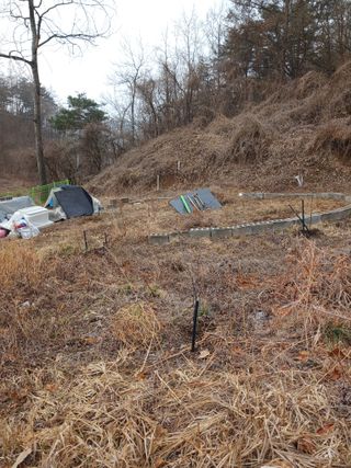 골탄님의 기타작물 · 영농일지 작성글 사진