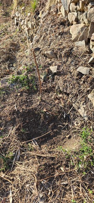 진전님의 기타작물 · 영농일지 작성글 사진