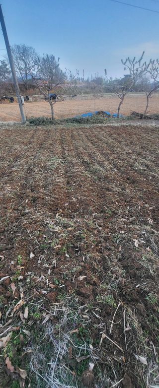 님의 기타작물 · 영농일지 작성글 사진