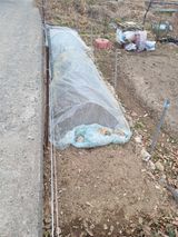 팜모닝 기타작물·영농일지 게시글 이미지