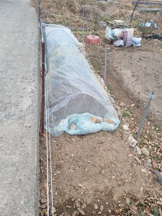 양길호님의 기타작물 · 영농일지 작성글 사진