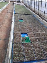 팜모닝 기타작물·영농일지 게시글 이미지