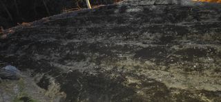 진전님의 기타작물 · 영농일지 작성글 사진