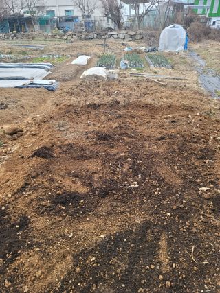 양길호님의 기타작물 · 영농일지 작성글 사진