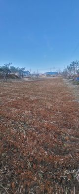 팜모닝 기타작물·영농일지 게시글 이미지