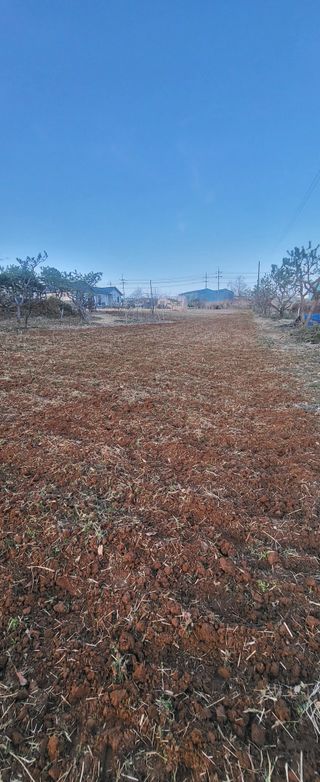 님의 기타작물 · 영농일지 작성글 사진