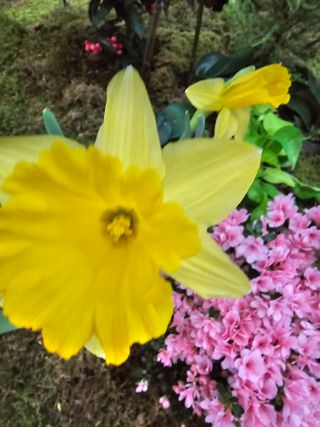 이미옥님의 기타작물 · 영농일지 작성글 사진