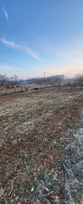 님의 기타작물 · 영농일지 작성글 사진