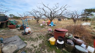 괴동조합장님의 기타작물 · 영농일지 작성글 사진