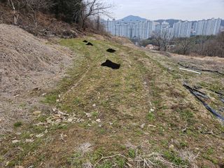 장흥식님의 기타작물 · 영농일지 작성글 사진