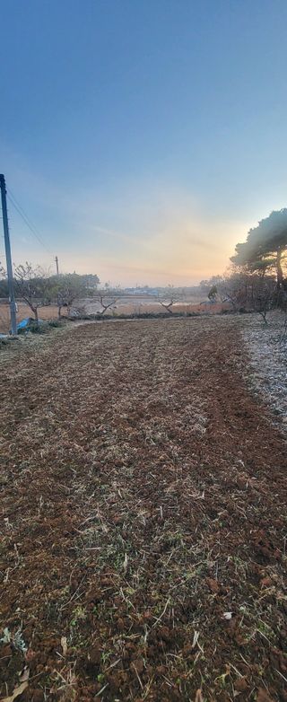 님의 기타작물 · 영농일지 작성글 사진