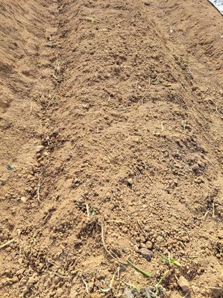 정택님의 기타작물 · 영농일지 작성글 사진