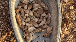 촌사리님의 기타작물 · 영농일지 작성글 사진