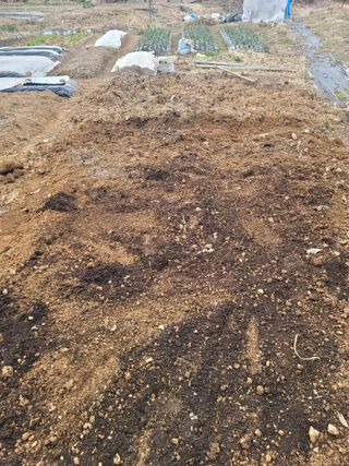 양길호님의 기타작물 · 영농일지 작성글 사진