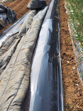 정택님의 기타작물 · 영농일지 작성글 사진