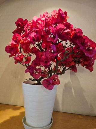 이미옥님의 기타작물 · 영농일지 작성글 사진