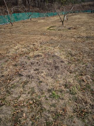 최재송님의 기타작물 · 영농일지 작성글 사진